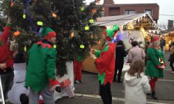 Arbre De Nol Spf   036